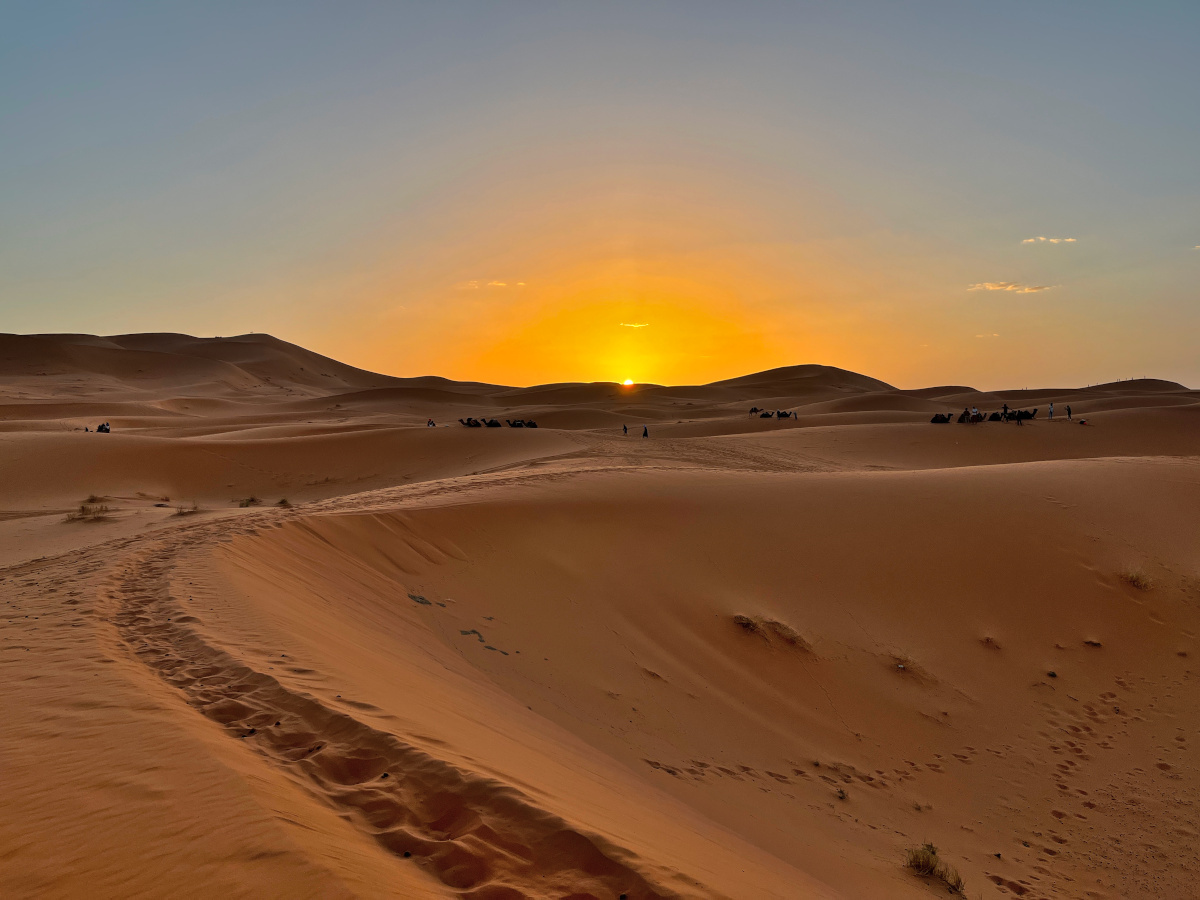 Camel Riding à Matrouh : Une expérience inoubliable à travers le désert - XIV. Conclusion